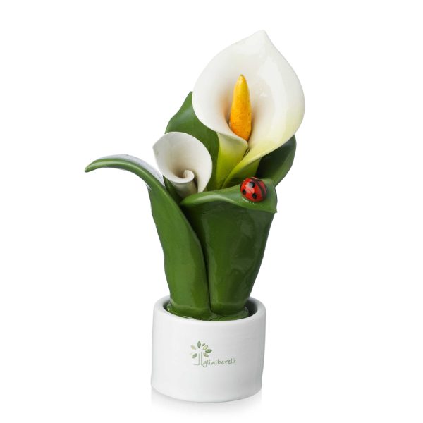 Pianta Natura 2 Fiori Gli Alberelli h. 16 cm.