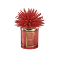Candela Riccio Rosso Melaverde