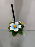 Gli Alberelli Profumatore Fiore Celeste