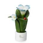 Pianta Natura 2 Fiori Gli Alberelli h. 16 cm.