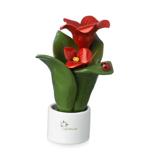 Pianta Natura 2 Fiori Gli Alberelli h. 16 cm.