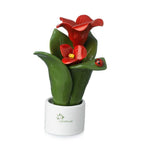 Pianta Natura 2 Fiori Gli Alberelli h. 16 cm.