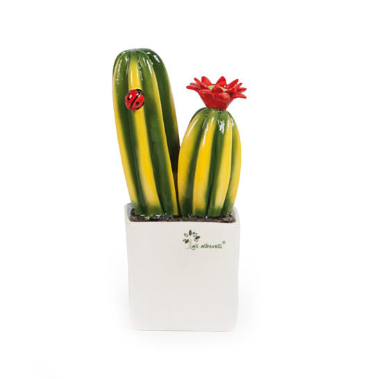 LE PIANTINE AMICHE – Pianta grassa Cactus Gli Alberelli