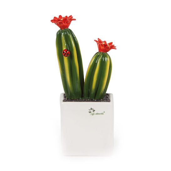 LE PIANTINE AMICHE – Pianta grassa Cactus Gli Alberelli