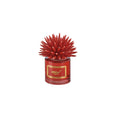 Profumatore Riccio Rosso