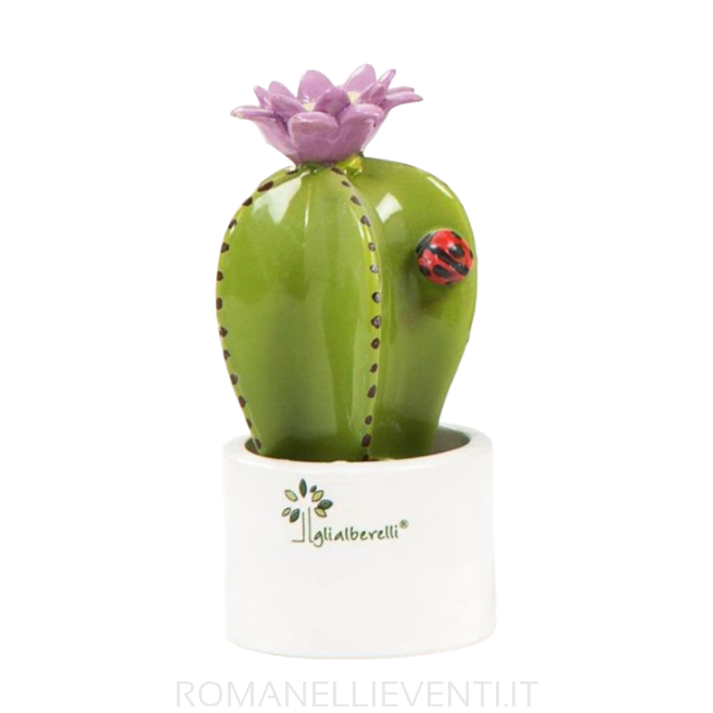 Pianta grassa colorata mignon: Ancistrocactus Gli Alberelli