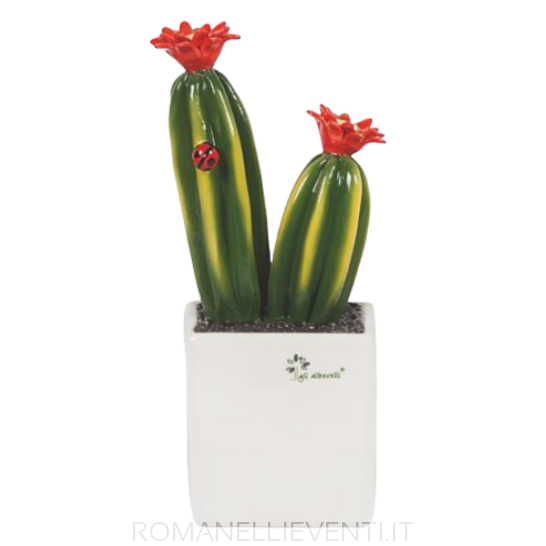 Pianta grassa media - Cactus Gli Alberelli